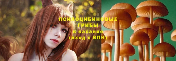 экстази Алексеевка