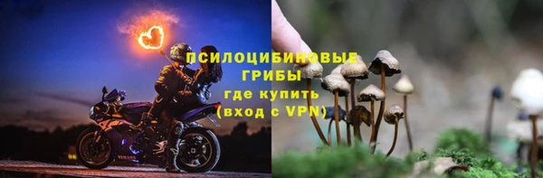 трава Алзамай
