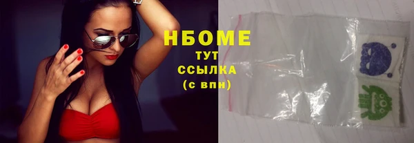 мет Алексин