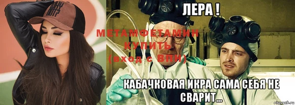 мет Алексин
